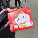 신성목장 | 대만 타이중 근교여행 일월담(르웨탄) 호수 / 유람선, 페리, 먹거리 추천