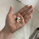 성모예일내과의원 이미지