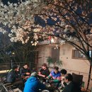 당달 아카데미 | 강남 역삼 회식 추천 목련꽃 테라스에서 즐긴 삼겹살 전복 조합 당달아카데미 후기