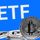 “비트코인 ETF, 연말까지 사토시보다 더 많은 BTC 보유할 듯” 이미지