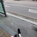 토마토상조 | 스노우폭스 『죽음의 에티켓』 후기｜죽음이 아닌 삶과 인간관계를 돌아보게 한 책