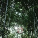 사천시산림조합