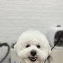 몽글몽글