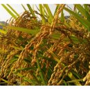 서안성농업협동조합 이미지