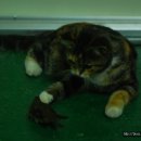 진숙농장 이미지