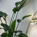 아쿠아스킨케어 이미지