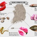 전라밥상 이미지