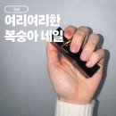 수지구청역 네일샵 네일오브윤｜여리여리한 복숭아 네일 2026 봄네일아트 디자인