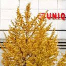 주엽공원 이미지