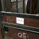 쌀토 이미지