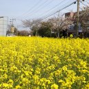 월드쥬스앞 이미지