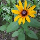 갈미중앙공원 이미지