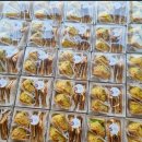 원광여자고등학교 이미지