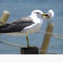 외포항1 이미지