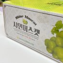 운봉농협협동조합 | 탱글탱글 싱싱함 + 아삭한 식감 + 자연스러운 단맛까지! 남상주농업협동조합 샤인머스캣 후기