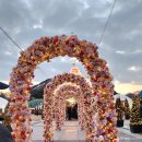 황금박쥐생태관 옆 | 아기와 함평 겨울빛축제 주차 및 꿀팁 300억 황금박쥐를 만나다