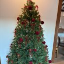 스테이 인동 이미지