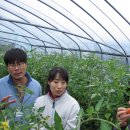 이영선농장 이미지