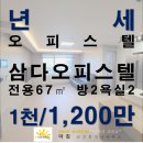 강정동-10 이미지