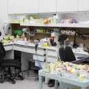 자연드림치과기공소 이미지