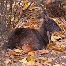 호수한의원 이미지