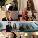설렘주의보