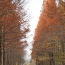 경주산림환경연구원 이미지