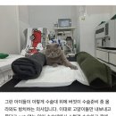 송도동물병원 이미지