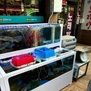 (주)인천종합어시장 네이버블로그
