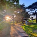 풍산단호로(풍산읍,남후면) 이미지