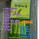 신해화학 이미지