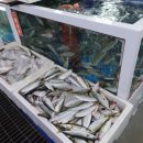 회천수산 이미지