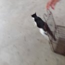 면천보건지소 이미지