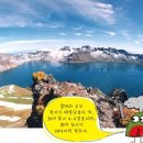 천하태평 이미지