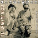 밴드죠 하는 말 콘서트 동해! 이미지