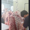 황우축산 이미지