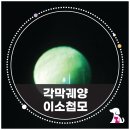 이소메디칼 이미지