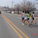 [4월12일/일] 예산벚꽃 마라톤대회 이미지