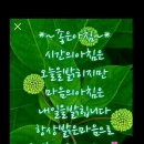 밝은마음 이미지