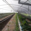 외서보건지소 이미지