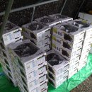 자옥농장 이미지