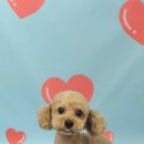 포즈티브 이미지