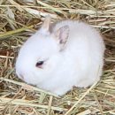 음매목장 이미지