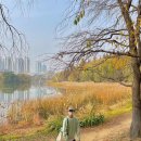 NR-1[세종로]-하-157 | 블챌 11월 둘째 주