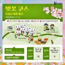 도약로282번길 이미지