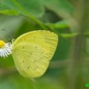 별하람초등학교 이미지