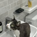 오묘화당 이미지