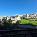 제주종합경기장 애향운동장 이미지