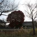 양화 금강변 이미지