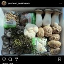 청산한우농장 네이버블로그